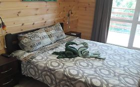 Котедж біля берега моря кооп Сокіл